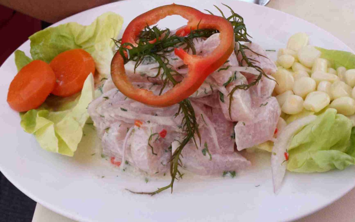 Peruvian dish 2