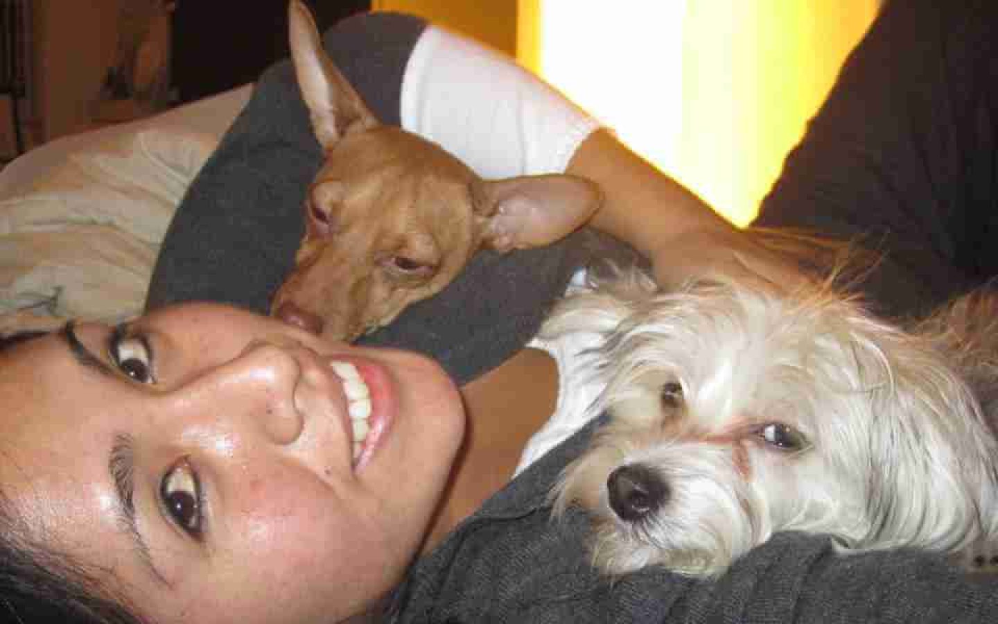 mavatravel-A-Dog-Love-Story