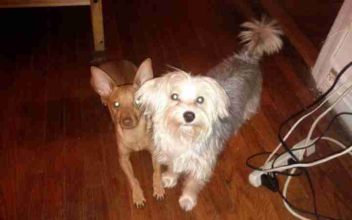 Jake and Jade